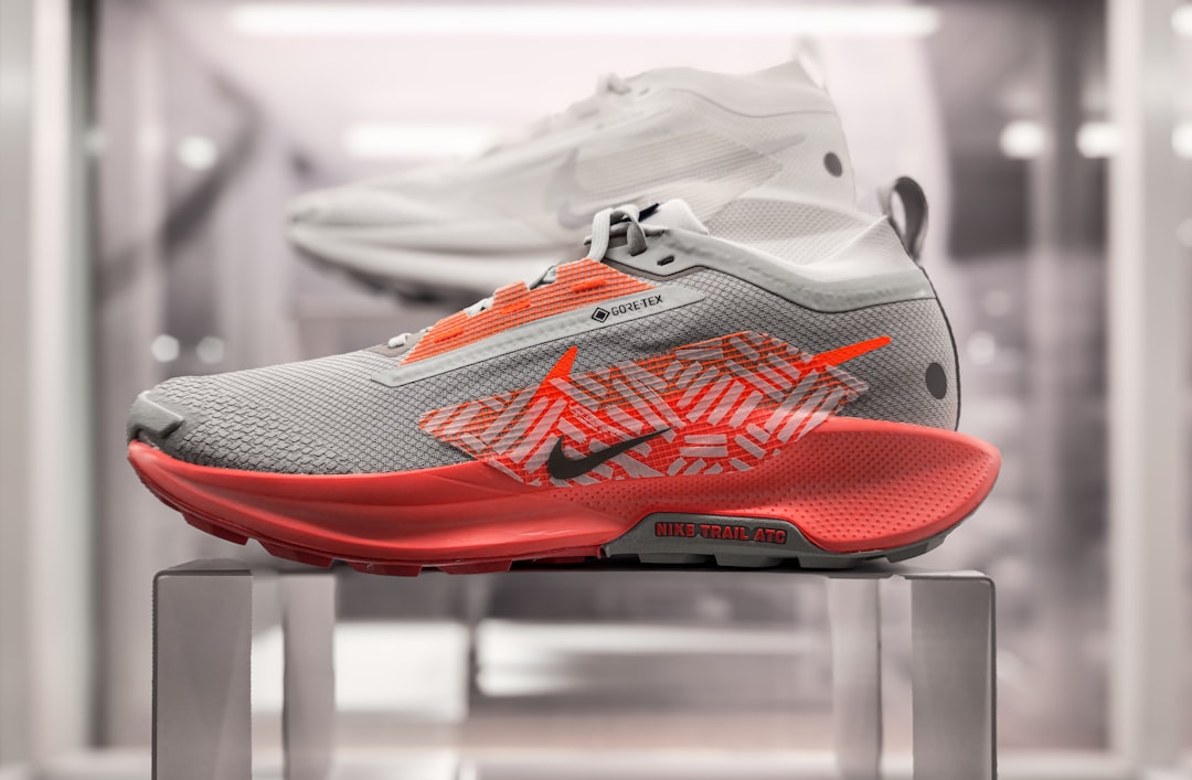 L-카르니틴은 어떻게 작동하나